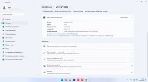 Windows 11 Pro VL x64 242 (build 26100.3775) by ivandubskoj 12.04.2025 [Ru]