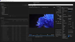 Adobe Media Encoder 2025 25.3.0.73 (x64) Portable by 7997 [Multi/Ru]